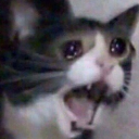 no Discord sticker from Makai 18+