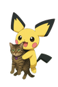 Pichu happily hugging a grumpy brown tabby cat.