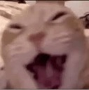 emoji_27 custom emote - Chill Hub