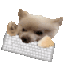 dogkeyboard animated emote from StudyGen Community