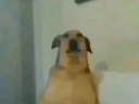 Screenshot20251014225703 Discord Emoji - صيانه