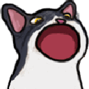 6744tuxedopopcat animated Discord emote - Study Space