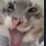 idkwhattonamethisone custom emote from Lovers Cafe™🌷India | Indian Discord server • Indian Discord  Community • discord india • Active