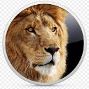 lion Discord sticker | La galaxia de Luis