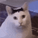 35636huh animated GIF emoji | The Nerd Dungeon: LGBTQ+, Dating, 18+, and Dungeons
