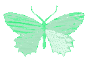 A neon green butterfly fluttering while rapidly changing shades of green.