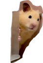 hide Discord sticker | Sammy's Indie-Electro Lounge