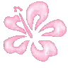 a_hawaii Discord Emoji | The Cozy Corner 🌸