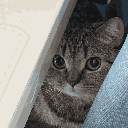 A tabby cat with wide eyes peeking out from behind a white wall.