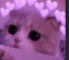 cute Discord sticker from CHABIBA SERVER