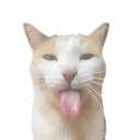 bleh custom emote | Mundo dos Animes - Br