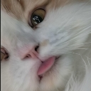 ble Discord Emoji - Rᴇʙɪʀᴛʜ Dᴇʟɪᴄᴀᴄɪᴇꜱ | Explore New World