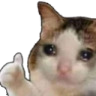 theekbhai Discord sticker | mr LEGEND