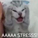 stresss Discord Emoji from Tathastu