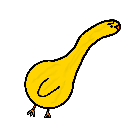 A simple yellow duck doodle facing away on a black background.