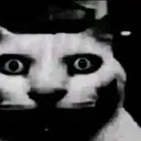 cat_stare custom emote from The Final Third