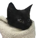 A small black kitten with large eyes peeking out from a soft white blanket.