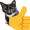 thumbs_up_cat custom emote from Make Money Online 💸