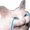 cattocry custom emote | Alphio AI