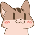 PopSquire animated Discord emote from DM Request 📪 ⌇ Ask To DM & Chatting ⌇ Non Dating ⌇ Social ⌇ Friendly ⌇ Nitro ⌇Non Toxic