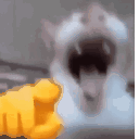 Cat_laugh animated GIF emoji | kriguG