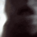 Monkey staring intensely into the camera lens in a series of blurry, candid frames.