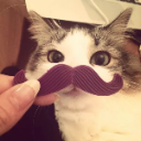 Cat with a purple mustache held in front of its face by a human hand.