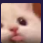A close-up of a white cat making a funny, exaggerated pouty face.