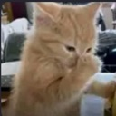 emoji_17 Discord Emoji | N,A