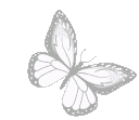 whitebutterfly animated Discord emote | ┃.............┃ • ┃ ☆ ┃ • ┃.............┃