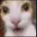 emoji_98 Discord Emoji | 𝐃𝐫𝐚𝐠𝐨𝐧 𝐊𝐢𝐧𝐠  | S1