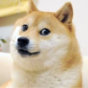 doge Discord Emoji | TuffBoi Clan