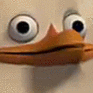 A duck with wide, unblinking eyes staring blankly with a slightly distorted 3D appearance.