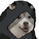 SithHusky animated GIF emoji - Homespook Community