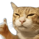 like Discord sticker from 𝐒𝐀𝐅𝐄 𝐙𝐎𝐍𝐄