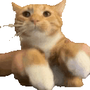 3950catkeyboardbounce animated GIF emoji from Sell Lemons | Roblox
