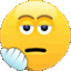 55_Face_palm animated emote | PokéChill🍯