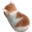 Beleidgte_Katze custom emote | Emmys Universe