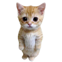 552347whitekittyCopie Discord Emoji - Ptero.pro - Free AI Chat For Developers
