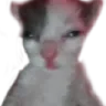 1370582599222820874 Discord Emoji - 𝐓𝐁𝐬