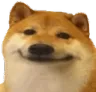 dogesmile Discord sticker | Nova Luna (新月)
