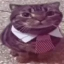 468830catsitting Discord sticker - The Nerd Dungeon: LGBTQ+, Dating, 18+, and Dungeons