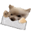dogkeyboard animated Discord emote - Cyberpunk Syndicate ☁୨ৎ