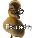 A fluffy yellow duckling wearing black glasses with the word Exquackly written underneath.