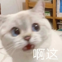 ahahahhhhcat Discord Emoji - 遊戲小鎮