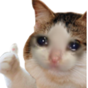 ok custom emote | Again