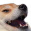 FunnyHaha custom emote from 𝗠𝗥_𝗧𝗔𝗬𝗚𝗔