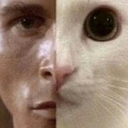 killer_and_kot custom emote | {рп}~ДуРкА~{рп}
