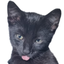 wazzup custom emote | ℙ𝕆ℤ𝔸 𝕂𝕆ℕ𝕋ℝ𝕆𝕃𝔸̨