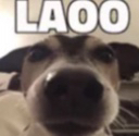 LAOO Discord Emoji from Vine(yl)💽